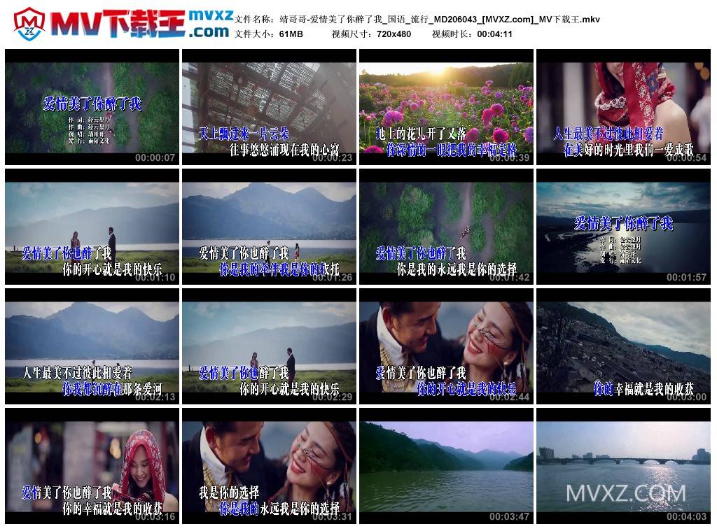 靖哥哥-爱情美了你醉了我_国语_流行_MD206043